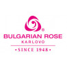 Bulgarian Rose Karlovo